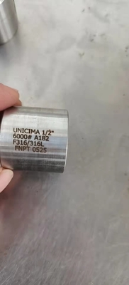स्टेनलेस स्टील पाइप फिटिंग 316L EQ युग्मन थ्रेड 6000 # 1/2 "जाली फिटिंग