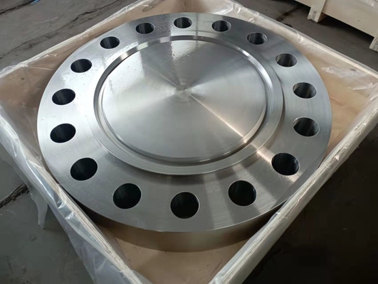 डुप्लेक्स स्टेनलेस स्टील निकला हुआ किनारा A182 GR.F51 ब्लाइंड निकला हुआ किनारा 300 # ASME B16.5