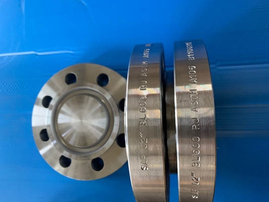 FLG-2-S10S-600-F51 - Flanges 2