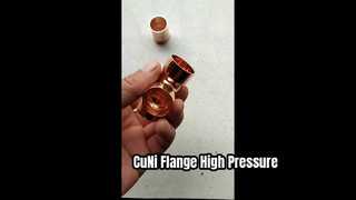 CuNi 90/10 फ्लैंज वेल्ड नेक EEMUA 145