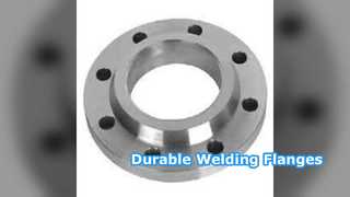 वेल्डिंग नेक फ्लैंगेस SS304 SS316 PN6