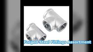 जाली इस्पात फिटिंग टी रेड्यूसर कोहनी निकला हुआ किनारा